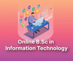 Online B.Sc in Information Technology